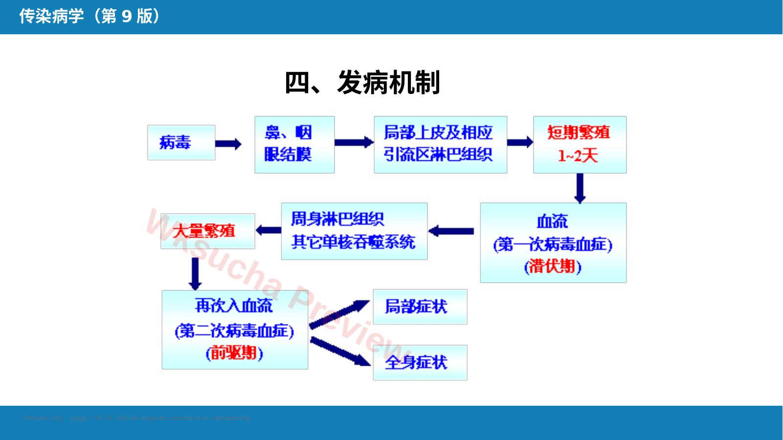 预览第 7 页