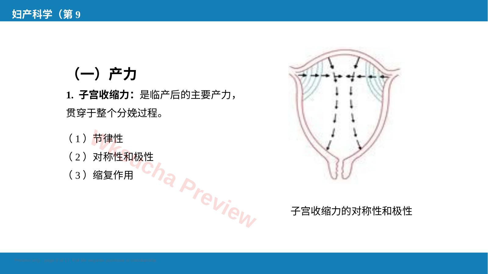 预览第 9 页