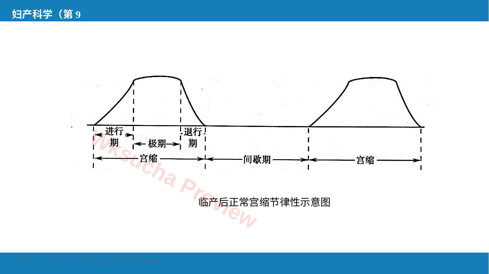 预览第 10 页