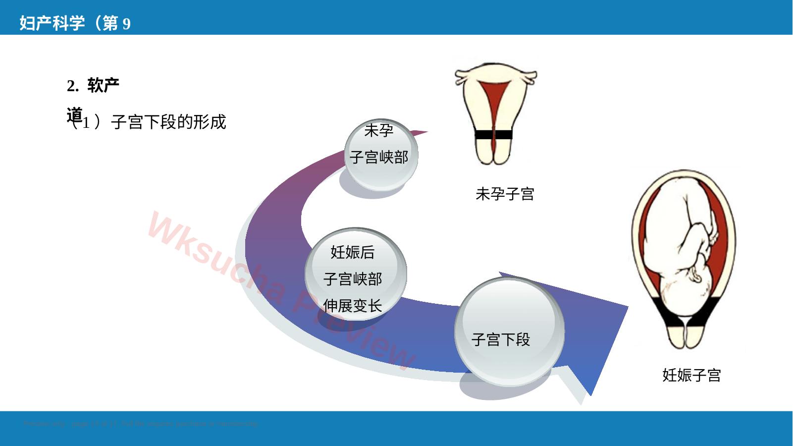 预览第 13 页