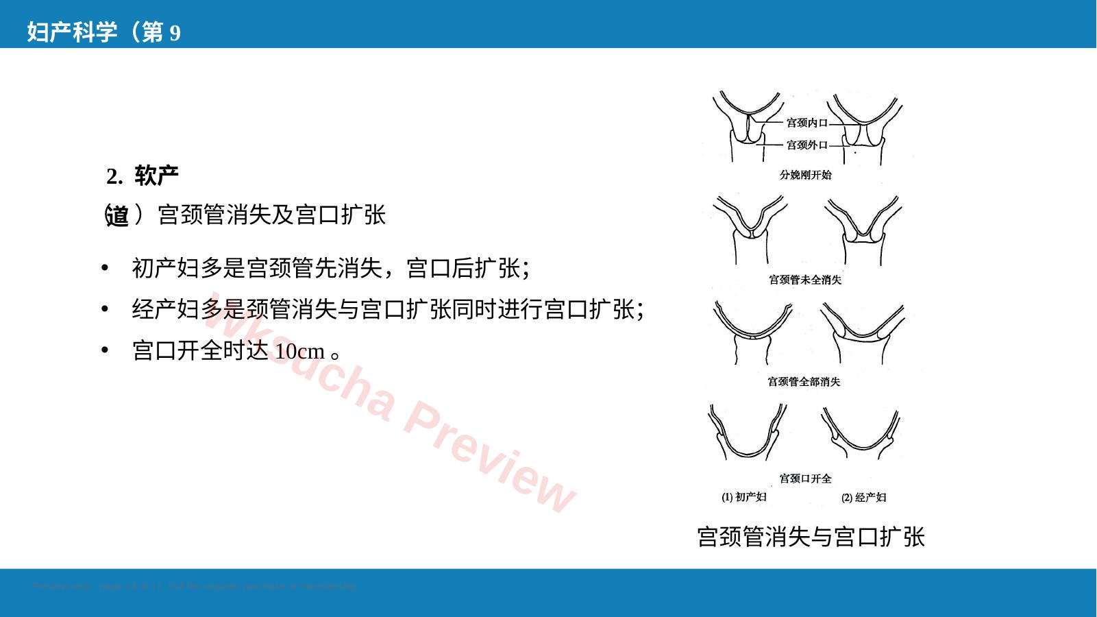 预览第 14 页