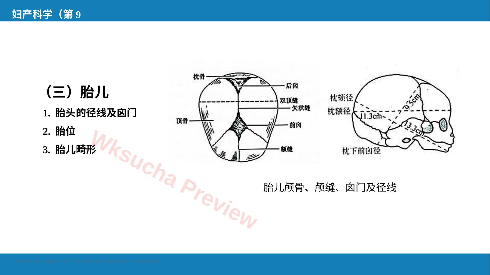 预览第 15 页