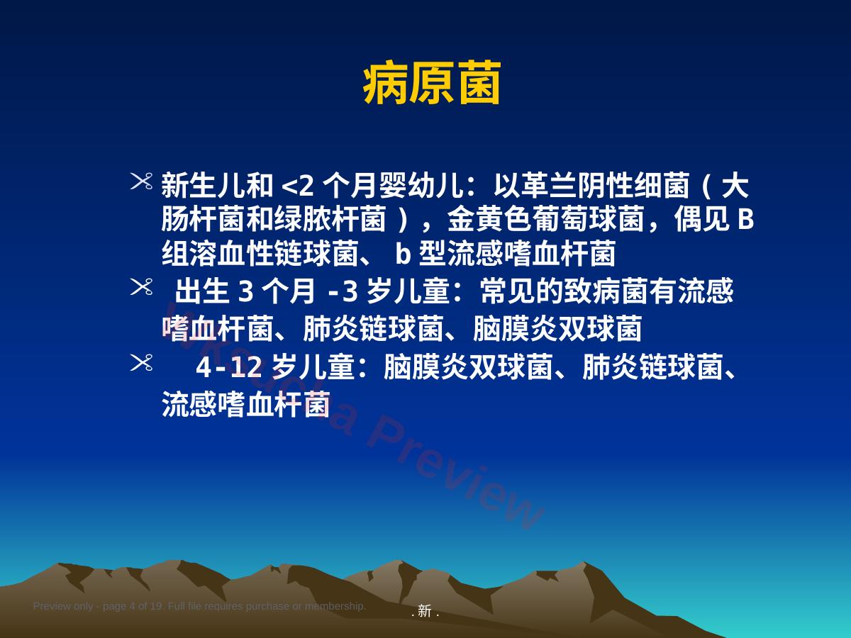 预览第 4 页