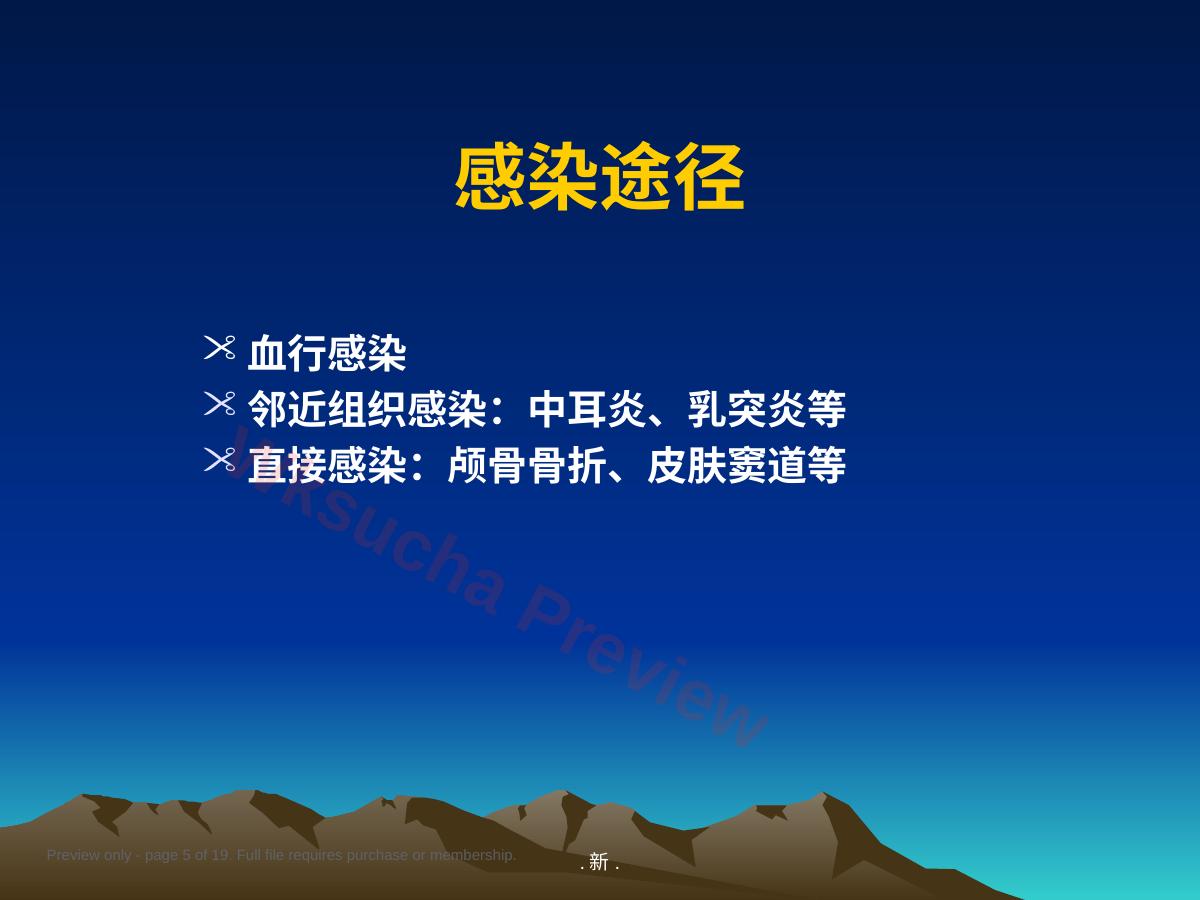 预览第 5 页