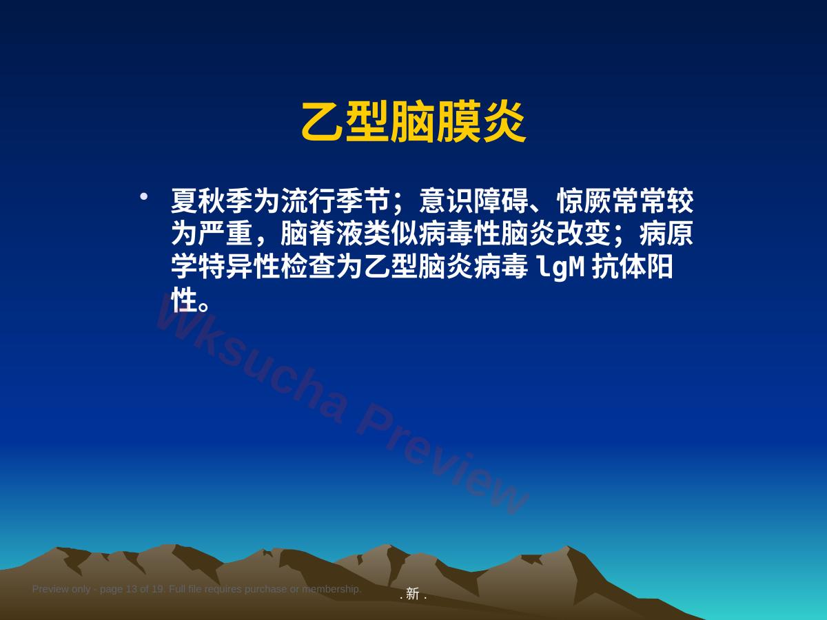 预览第 13 页