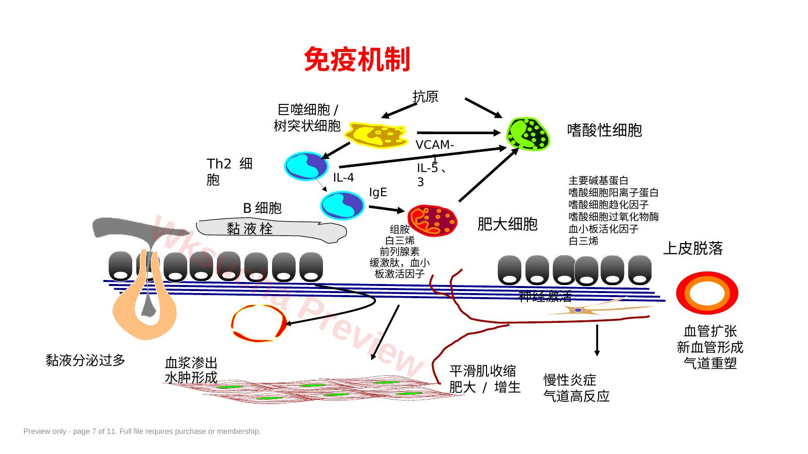预览第 7 页