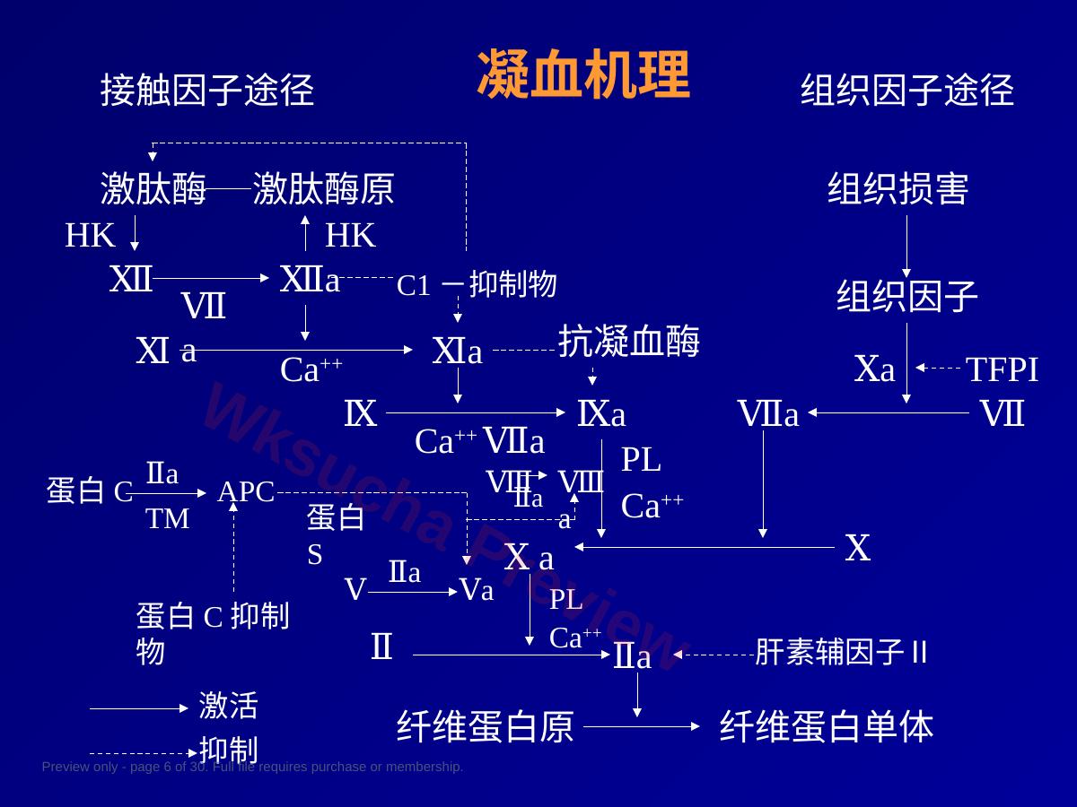 预览第 6 页