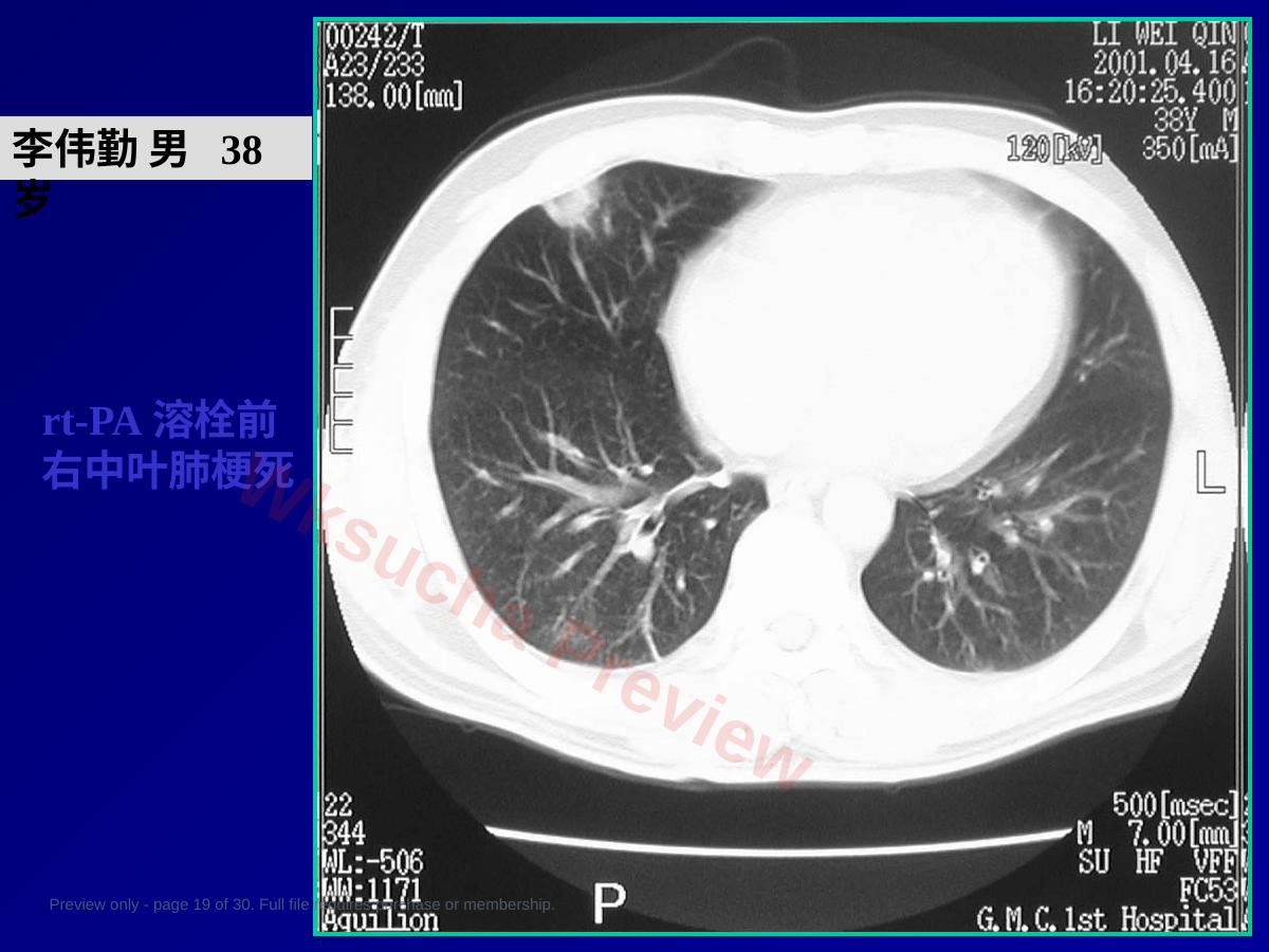 预览第 19 页