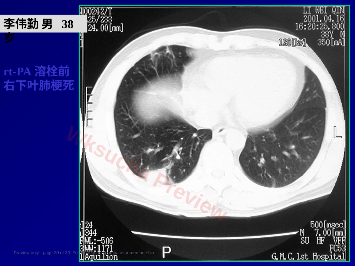 预览第 20 页