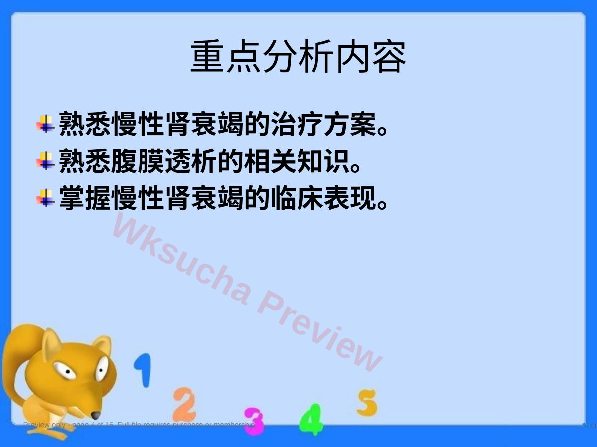 预览第 4 页