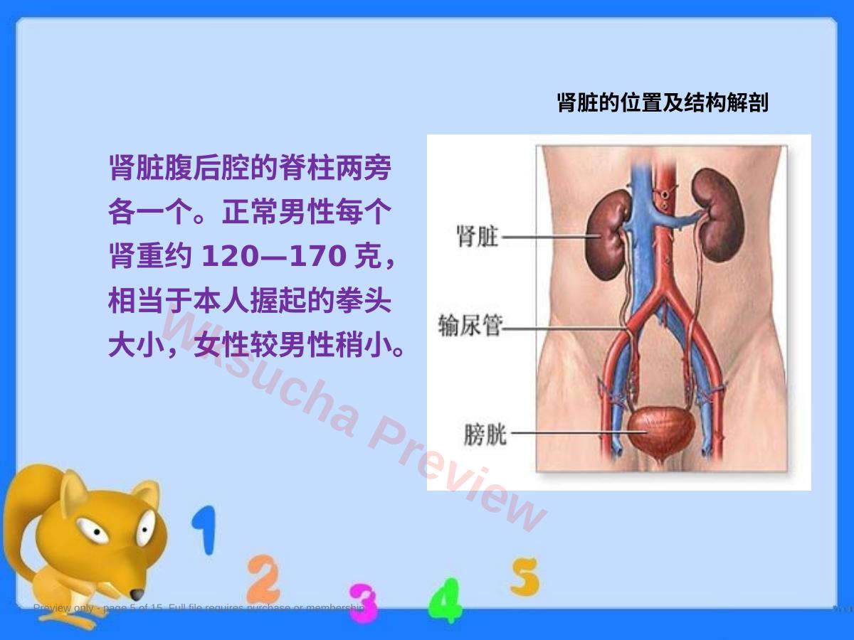 预览第 5 页