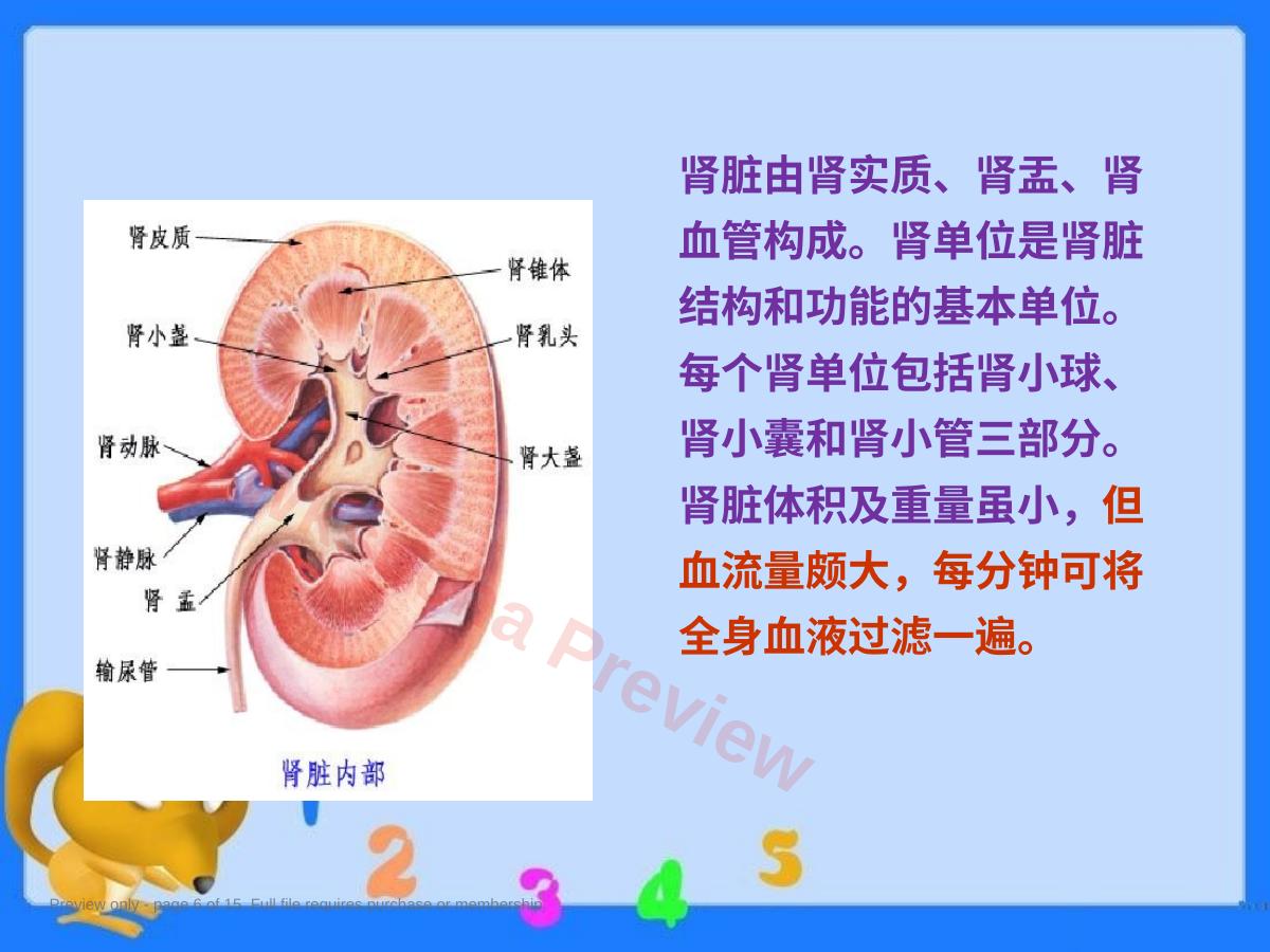 预览第 6 页