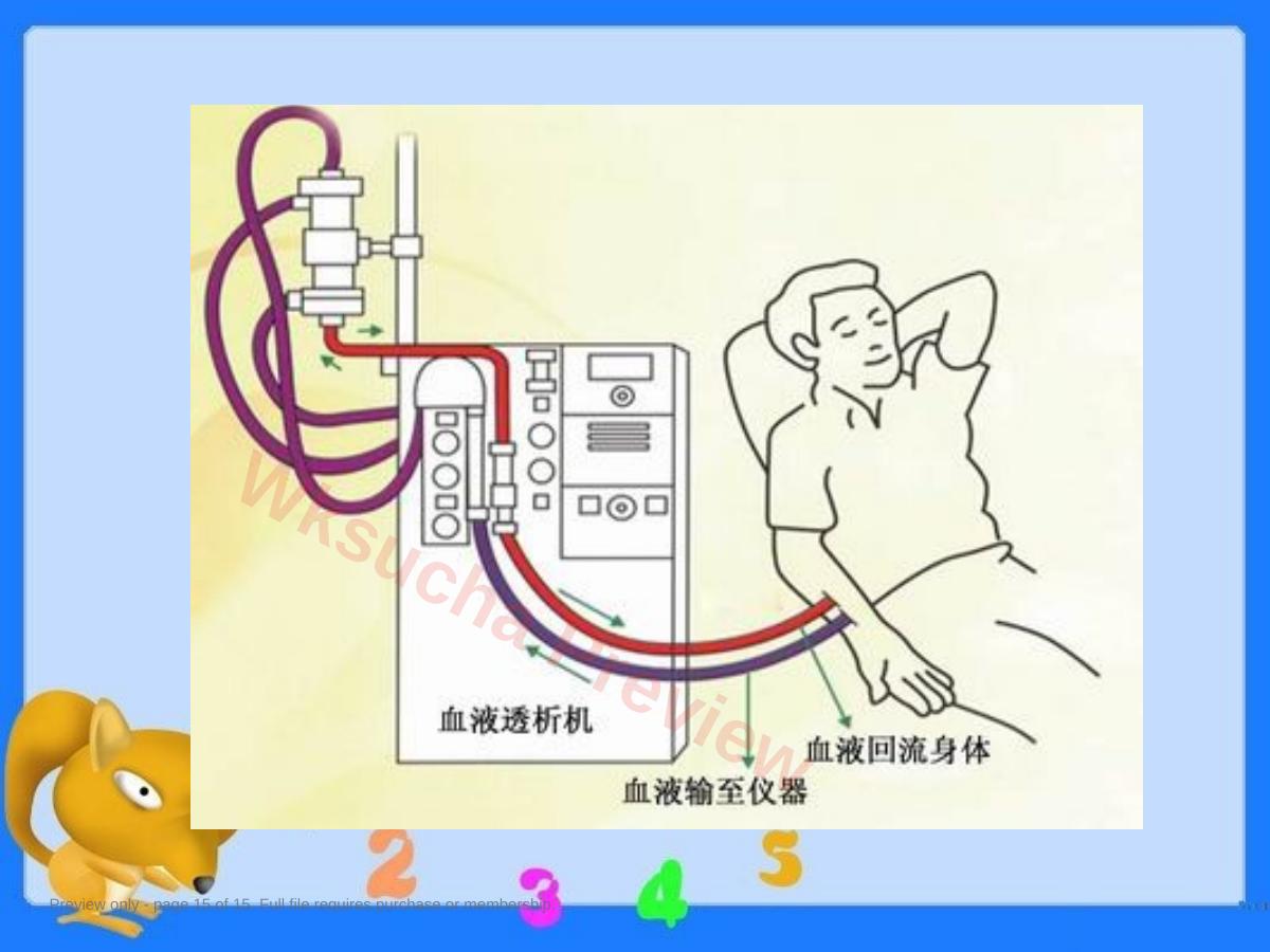 预览第 15 页