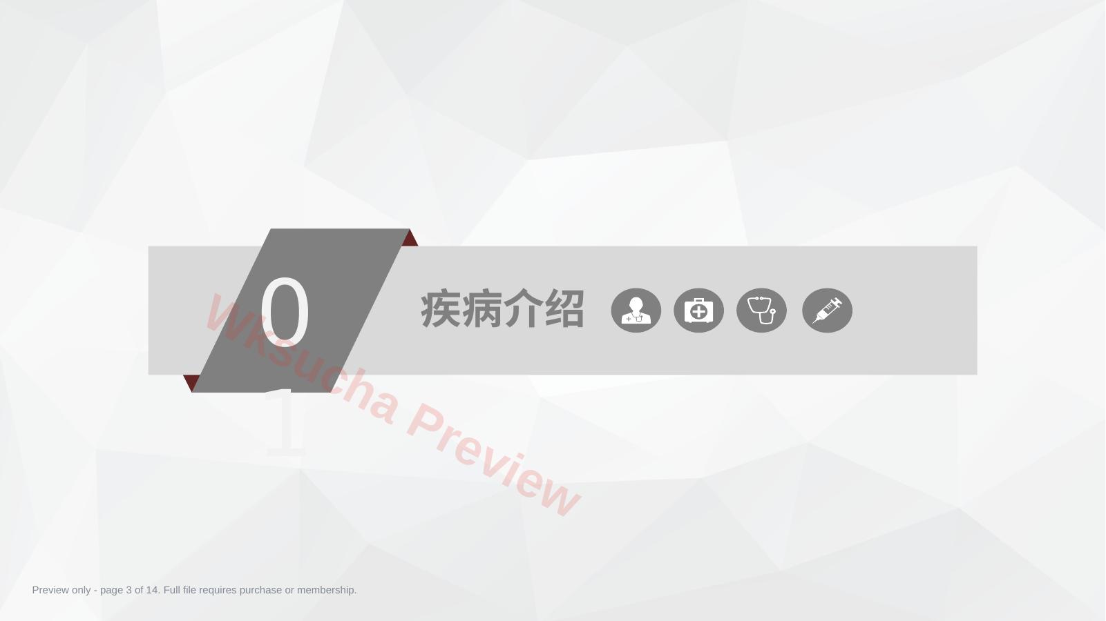 预览第 3 页