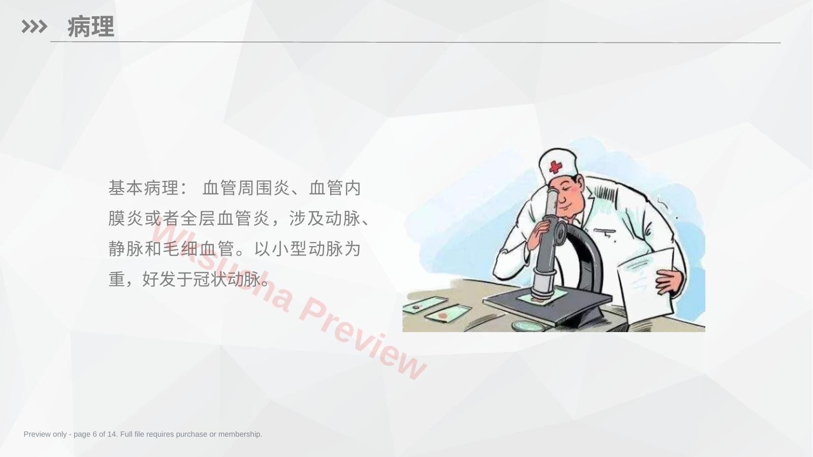 预览第 6 页