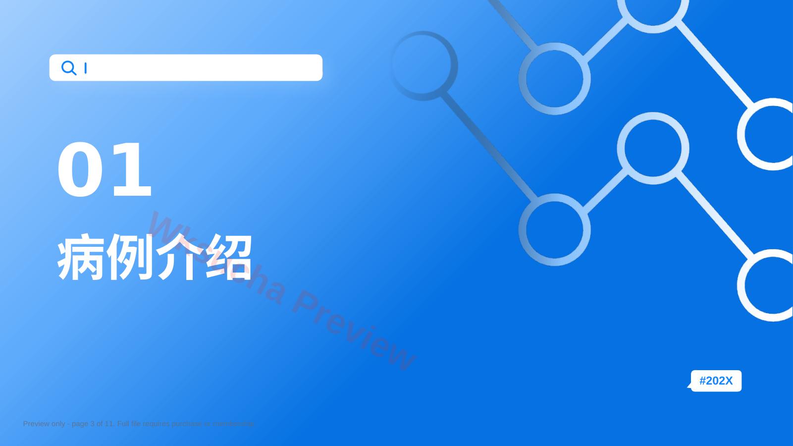 预览第 3 页