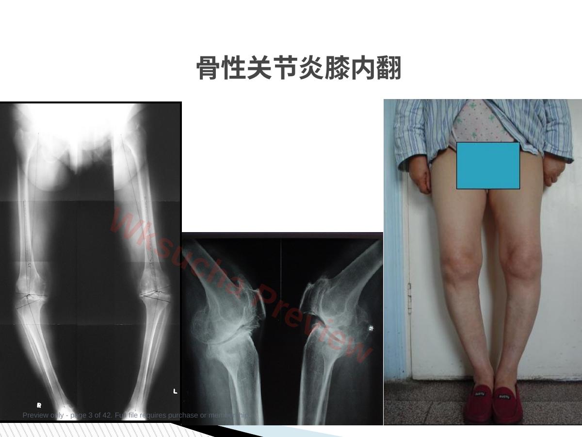 预览第 3 页