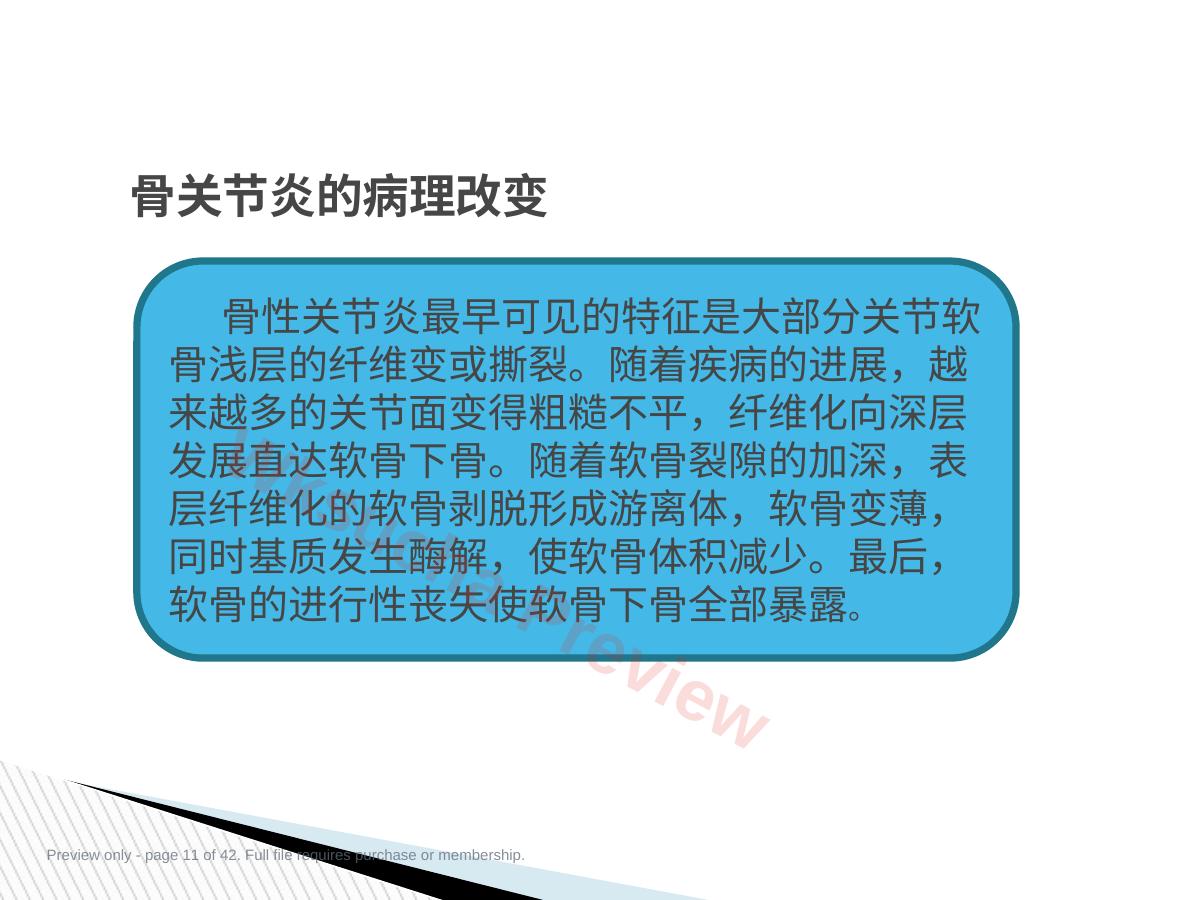 预览第 11 页