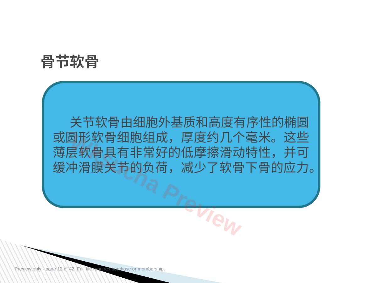 预览第 12 页