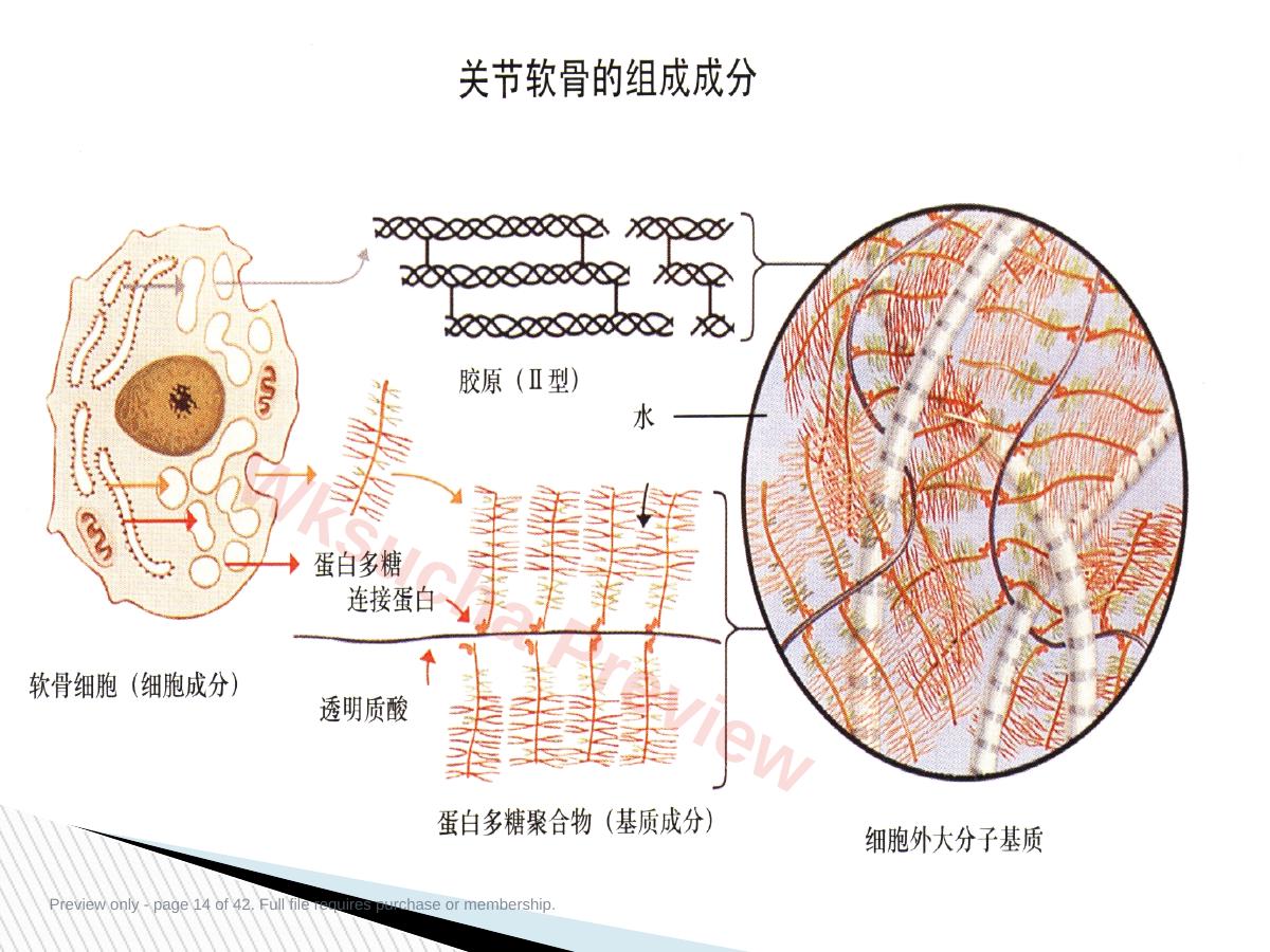 预览第 14 页