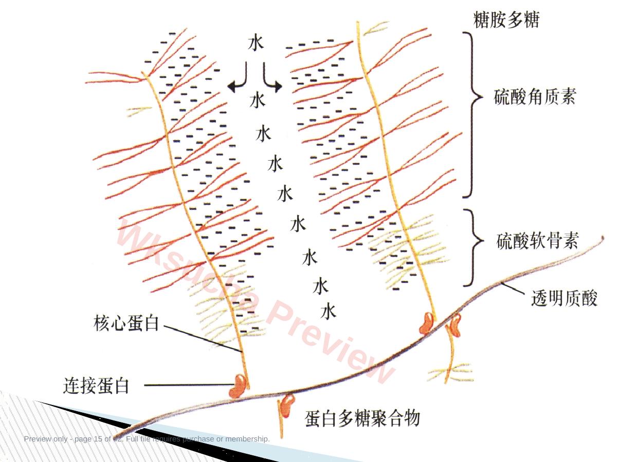 预览第 15 页