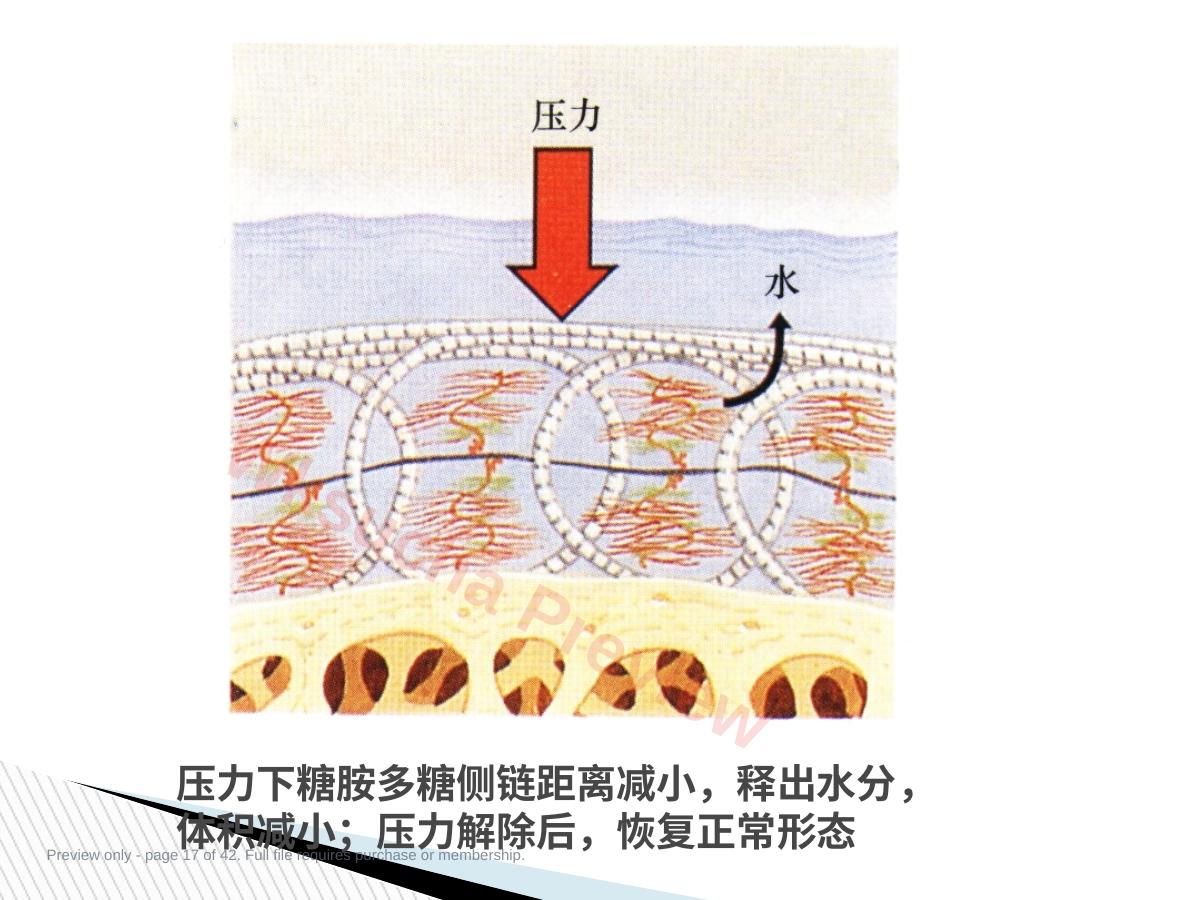 预览第 17 页
