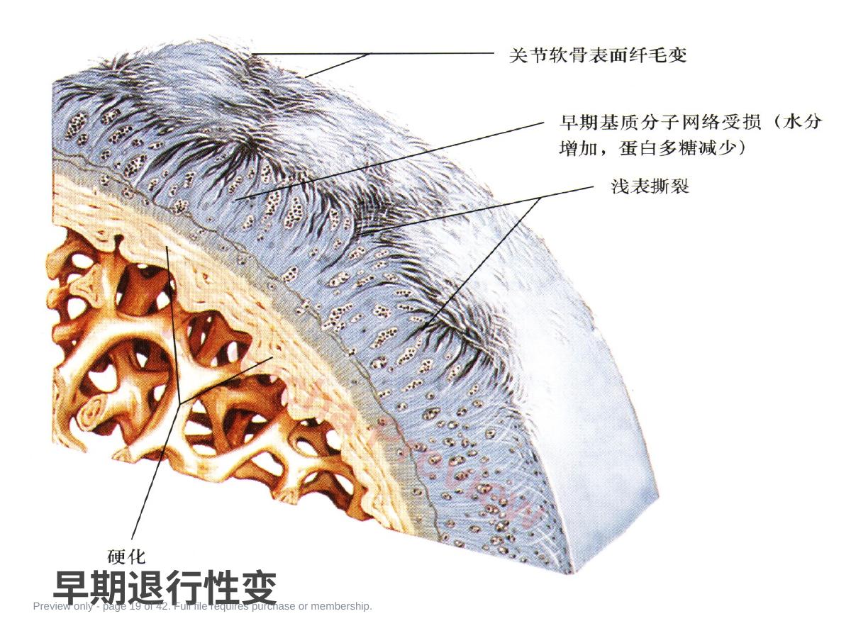 预览第 19 页