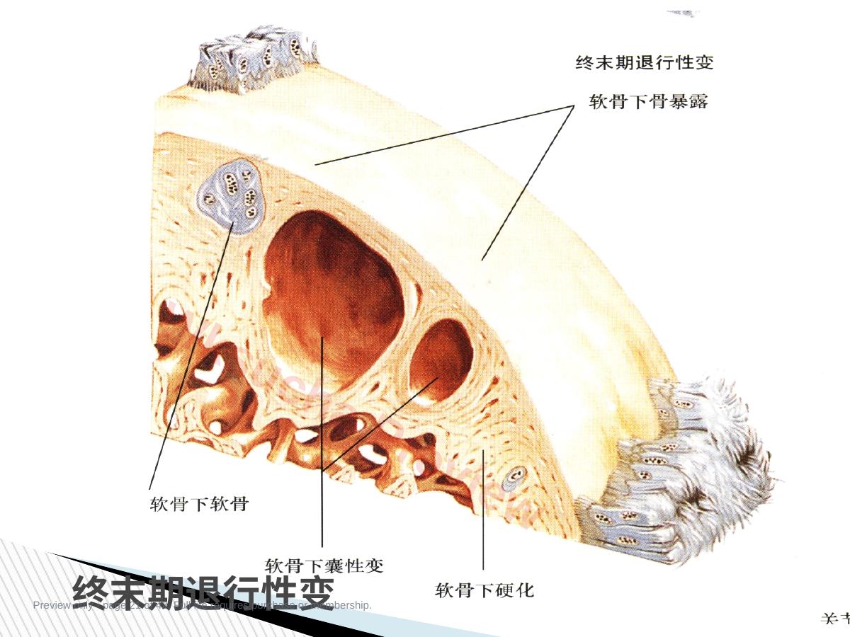 预览第 21 页