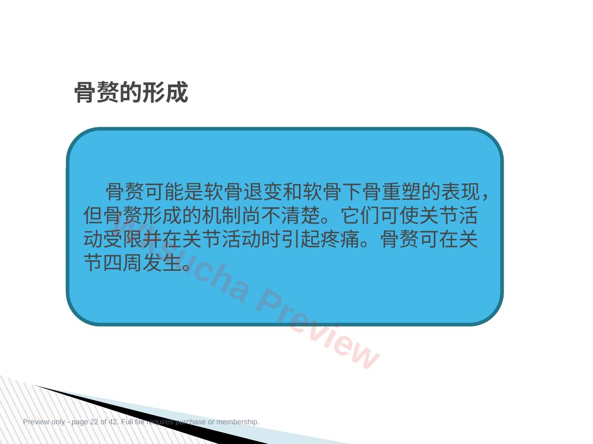 预览第 22 页