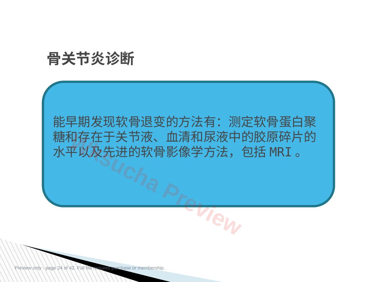 预览第 24 页
