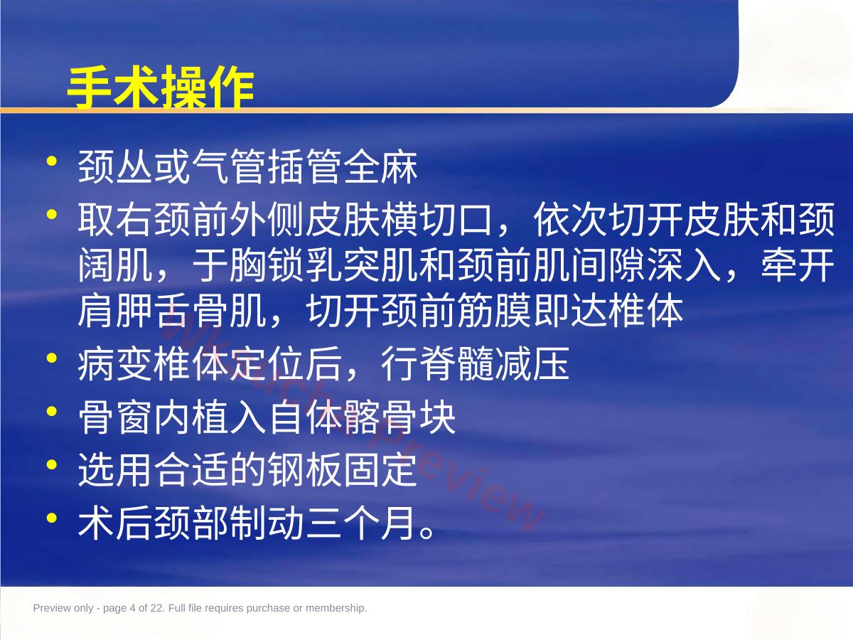 预览第 4 页