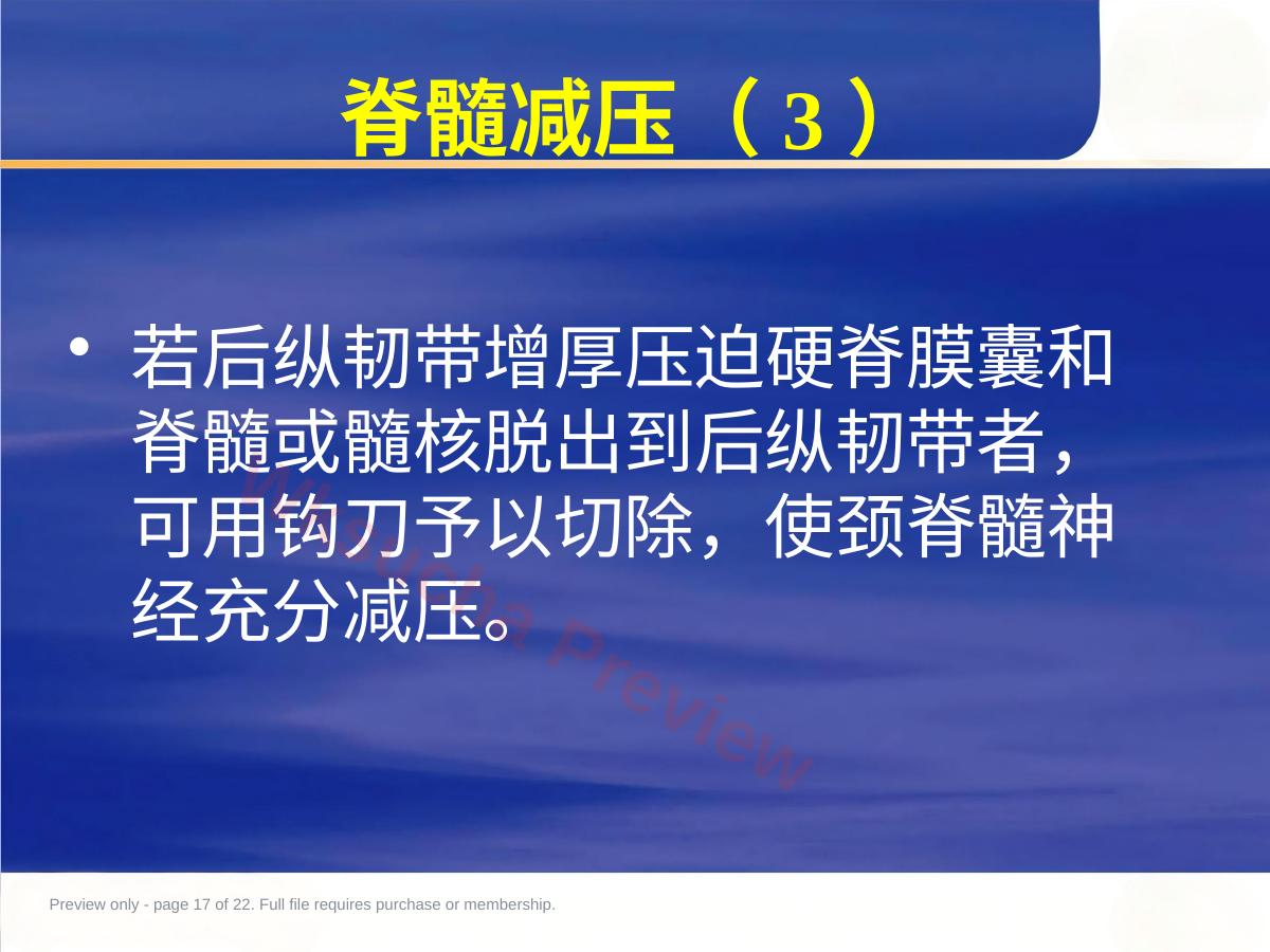 预览第 17 页