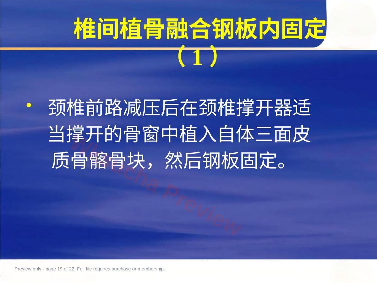 预览第 19 页