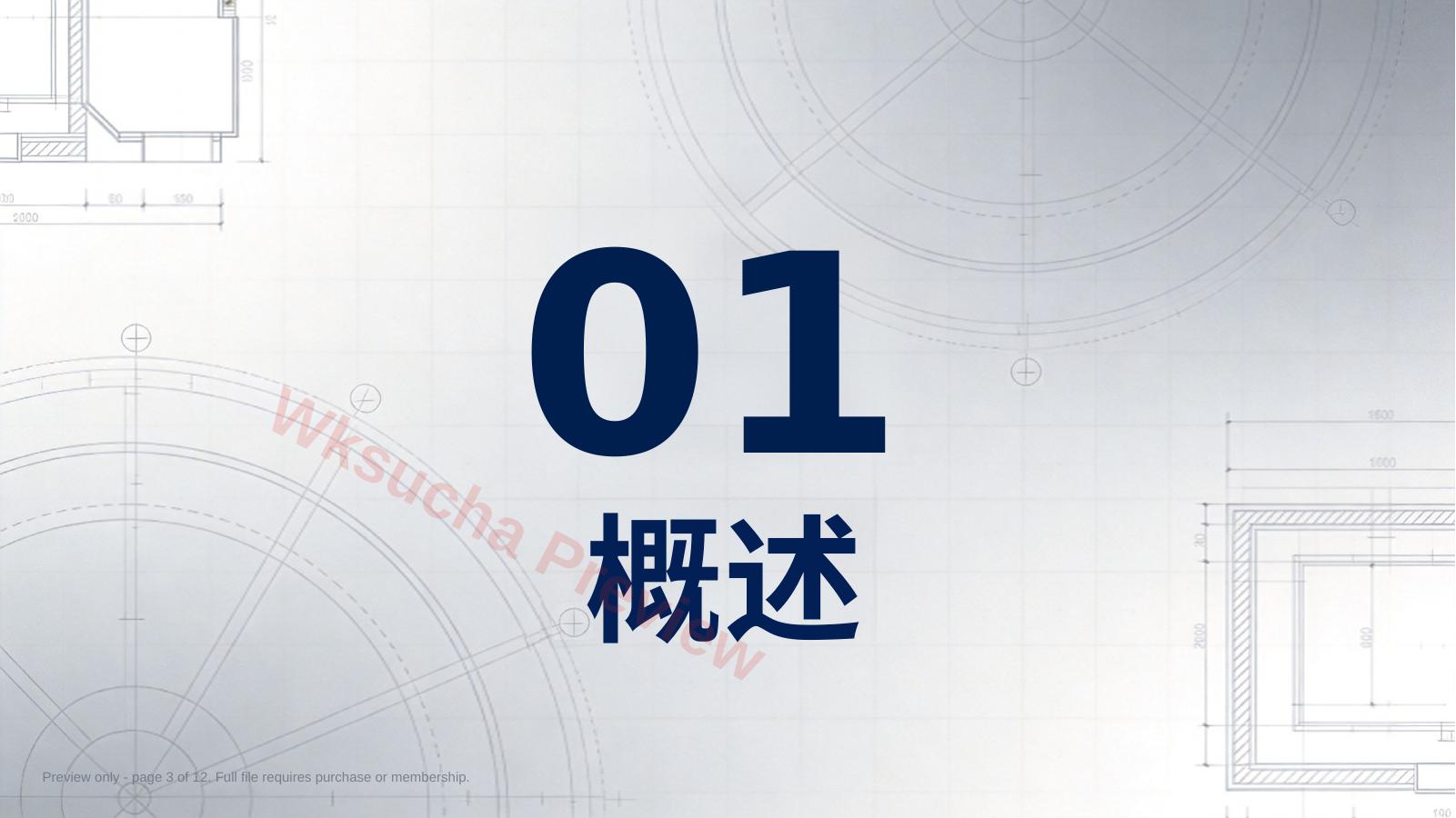 预览第 3 页