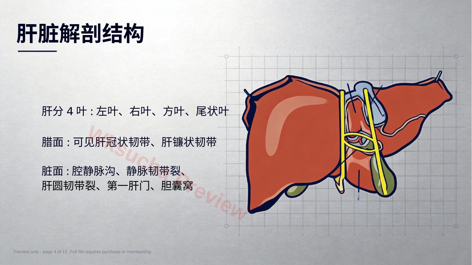 预览第 4 页