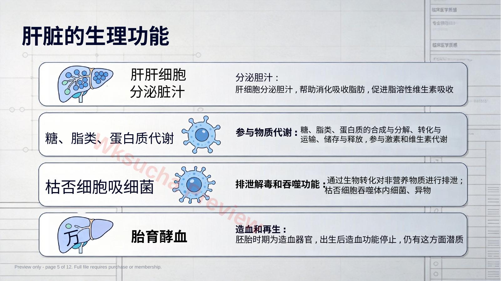 预览第 5 页