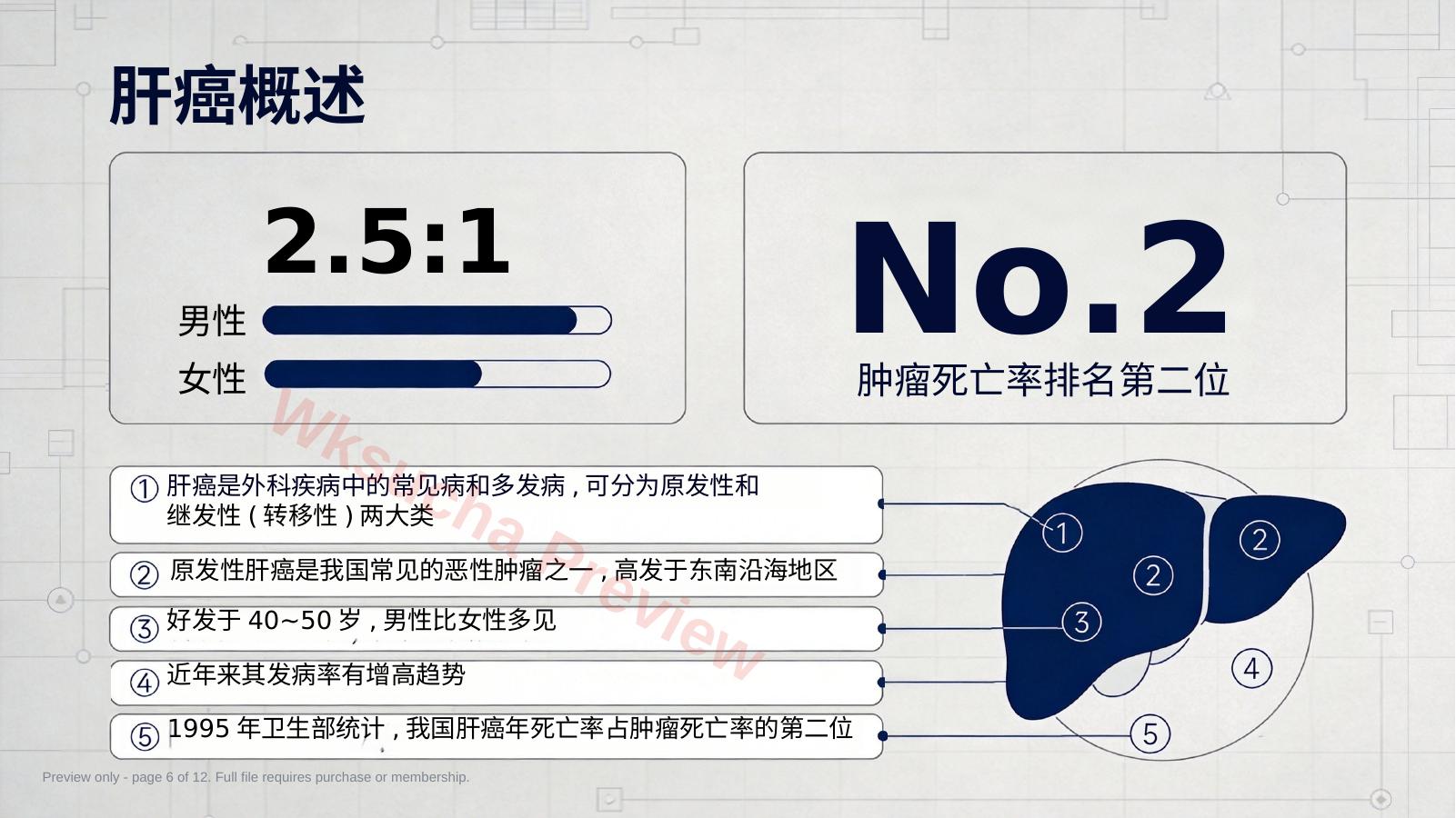 预览第 6 页
