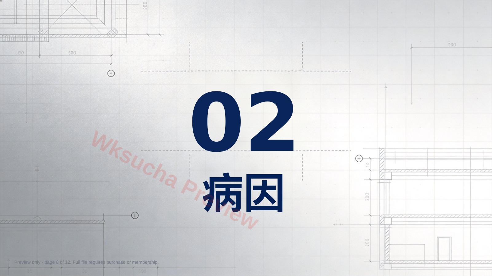 预览第 8 页