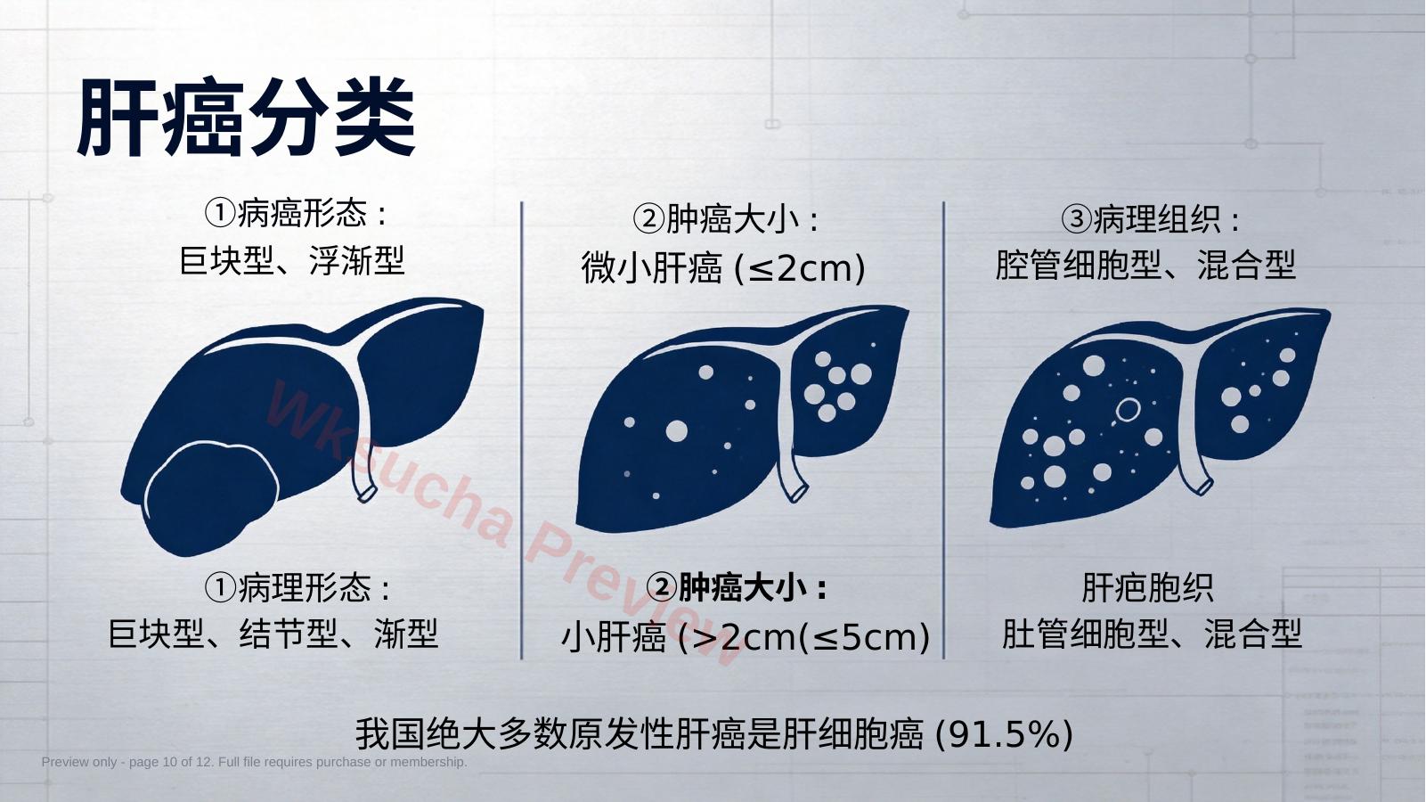 预览第 10 页