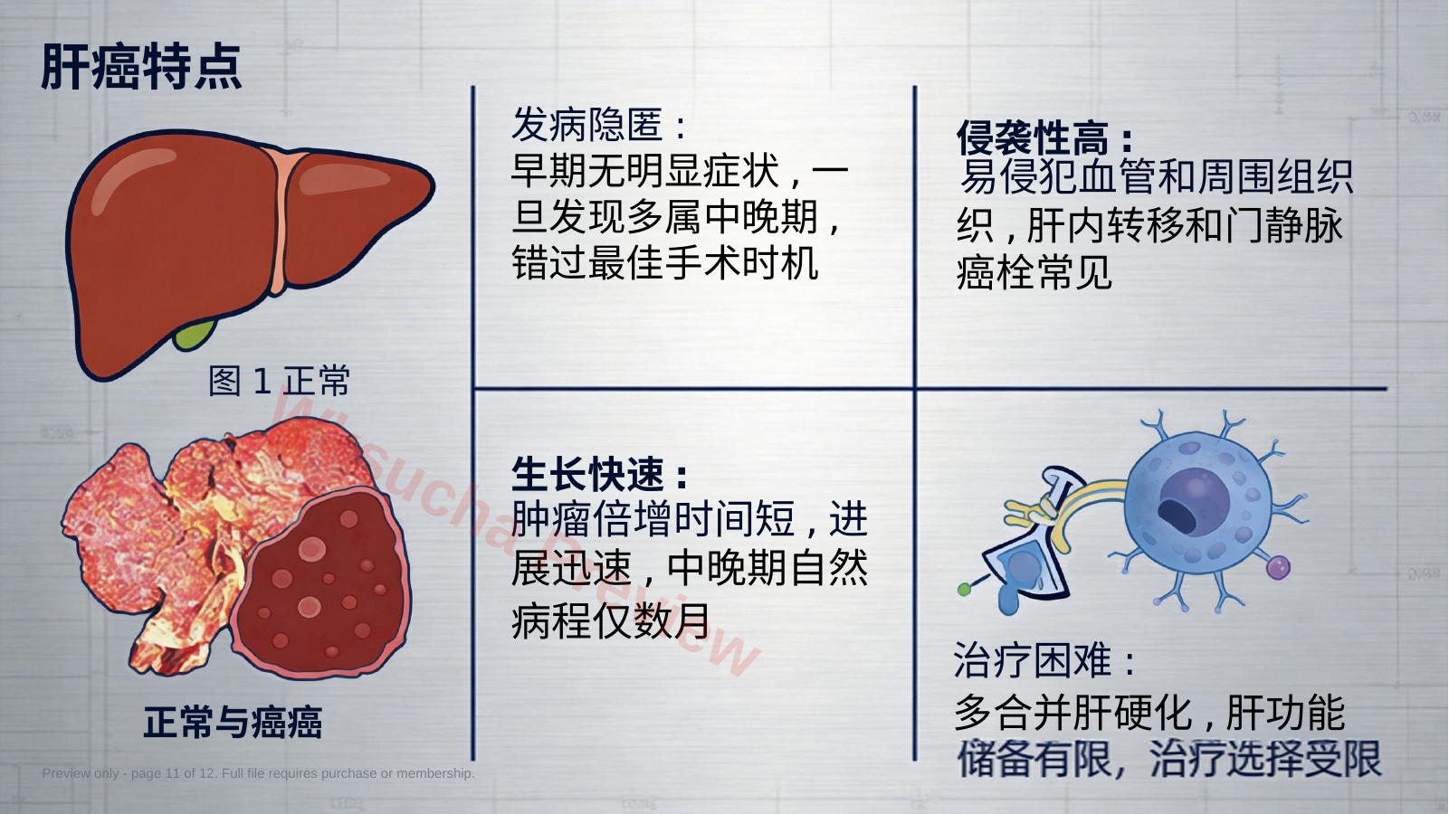 预览第 11 页