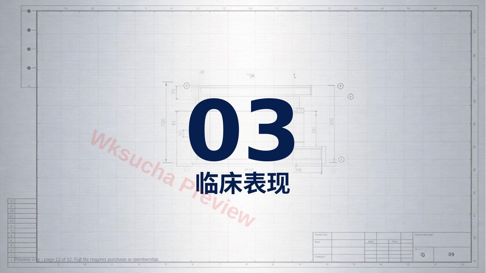 预览第 12 页