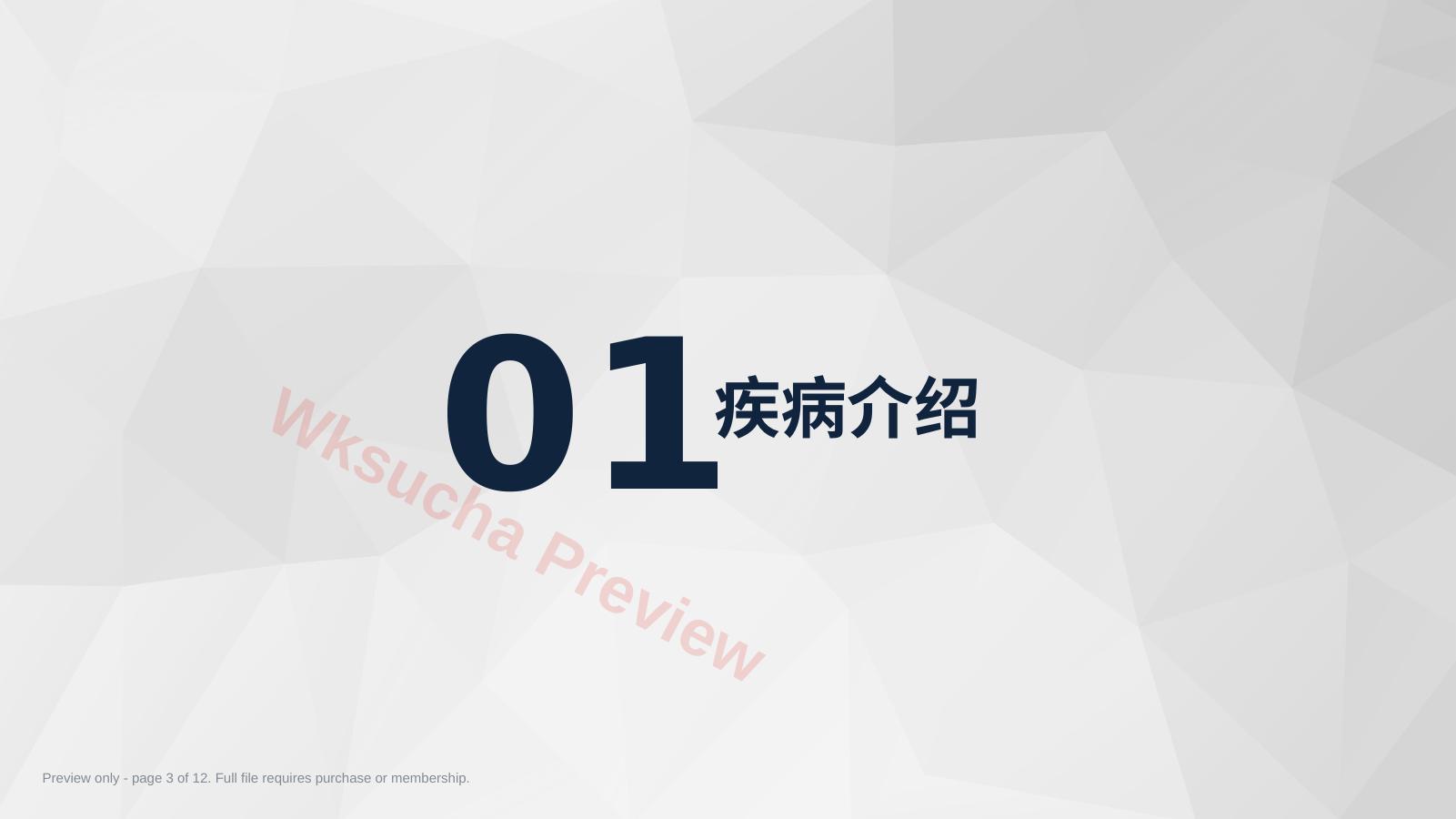 预览第 3 页
