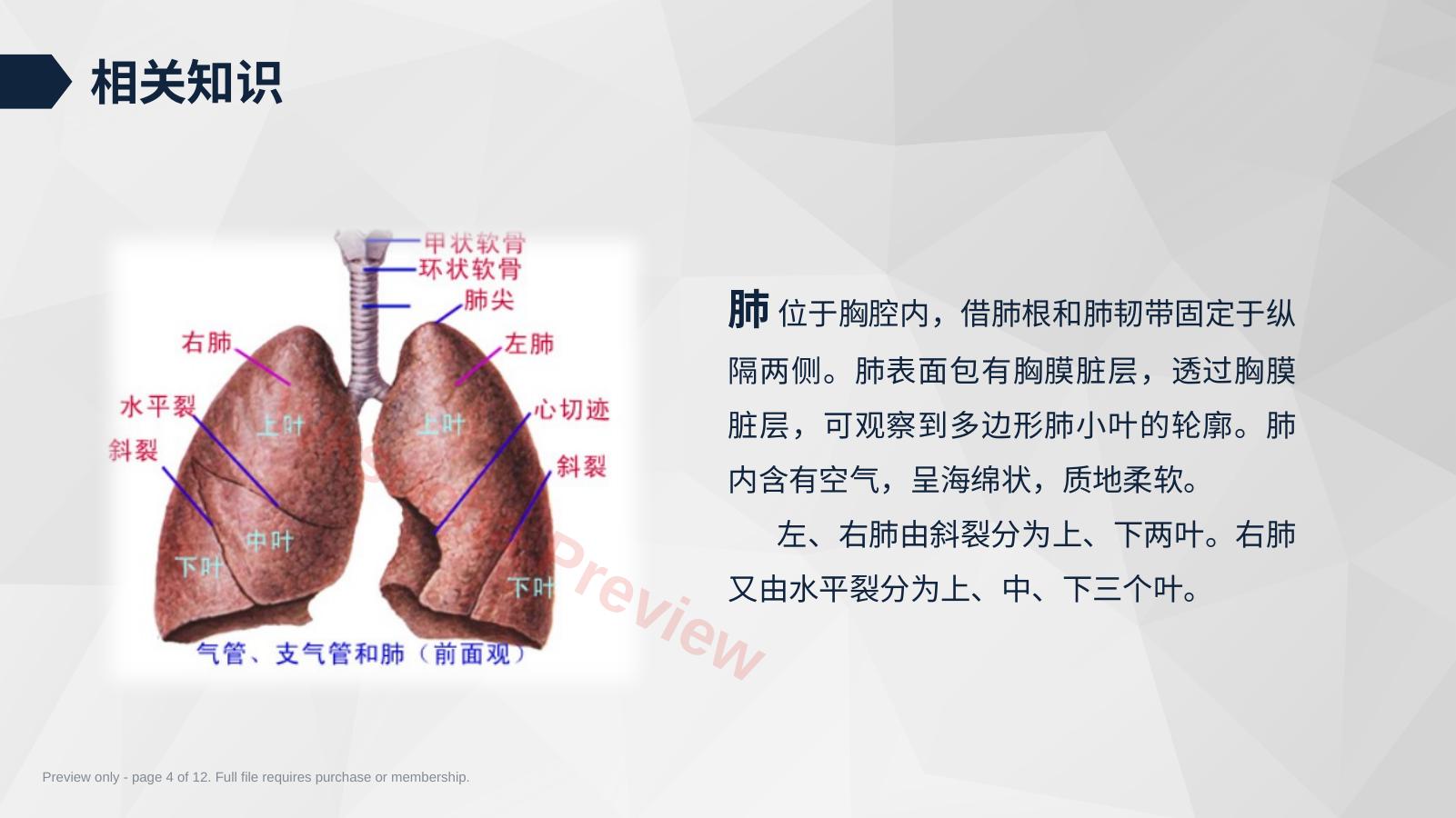 预览第 4 页