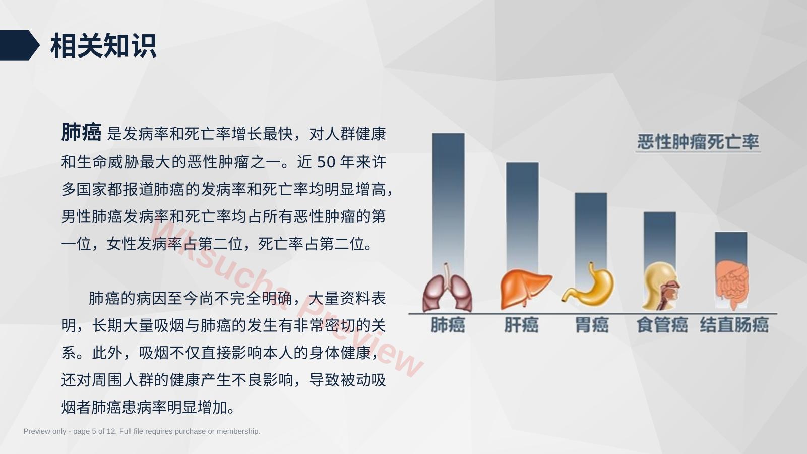 预览第 5 页