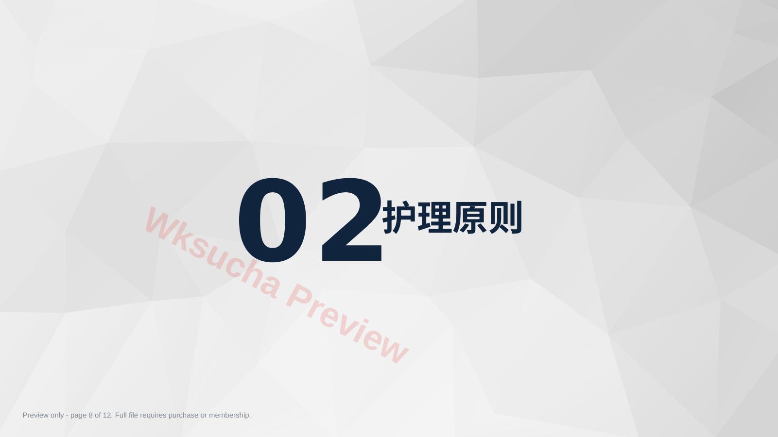 预览第 8 页
