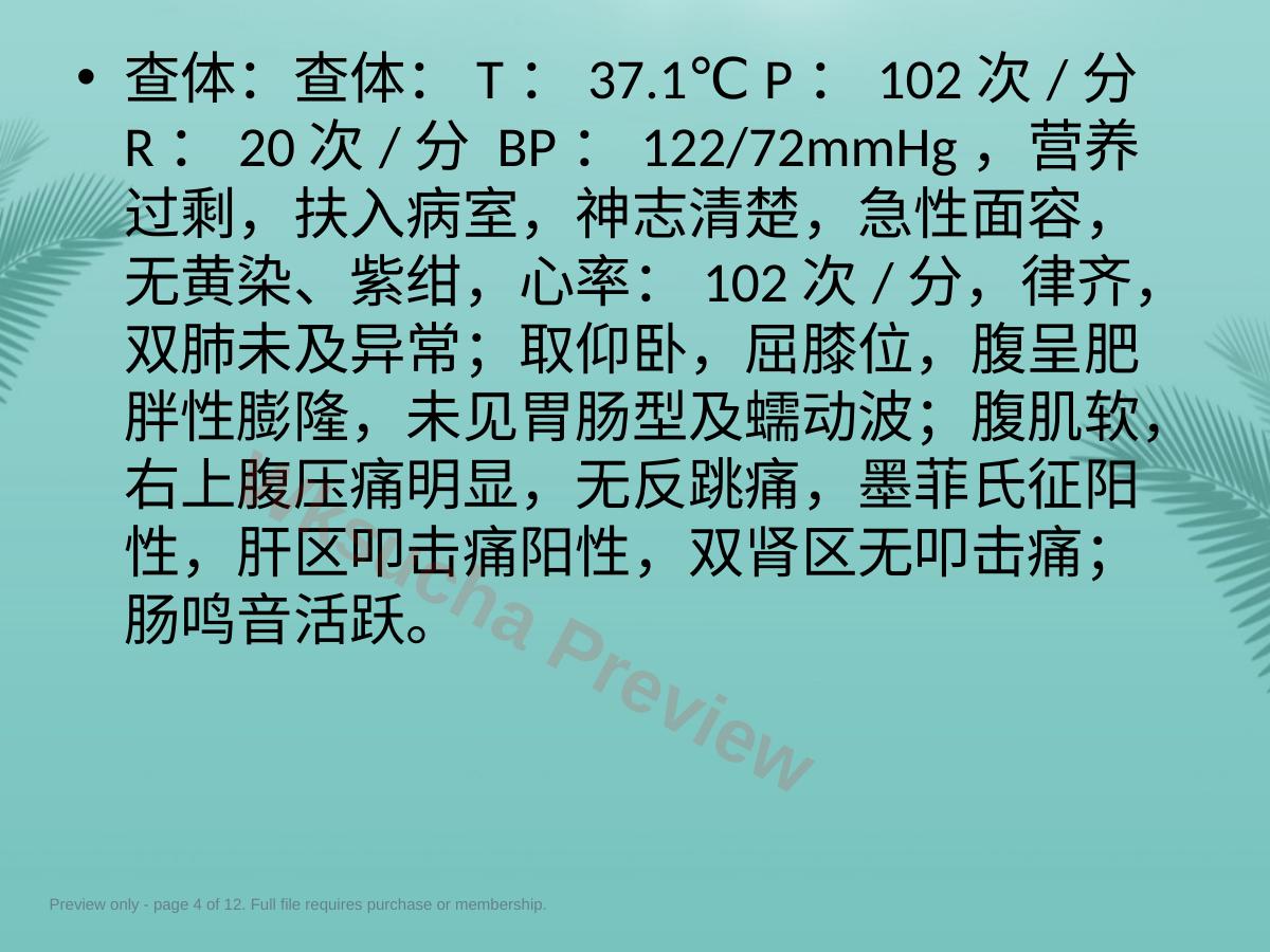 预览第 4 页