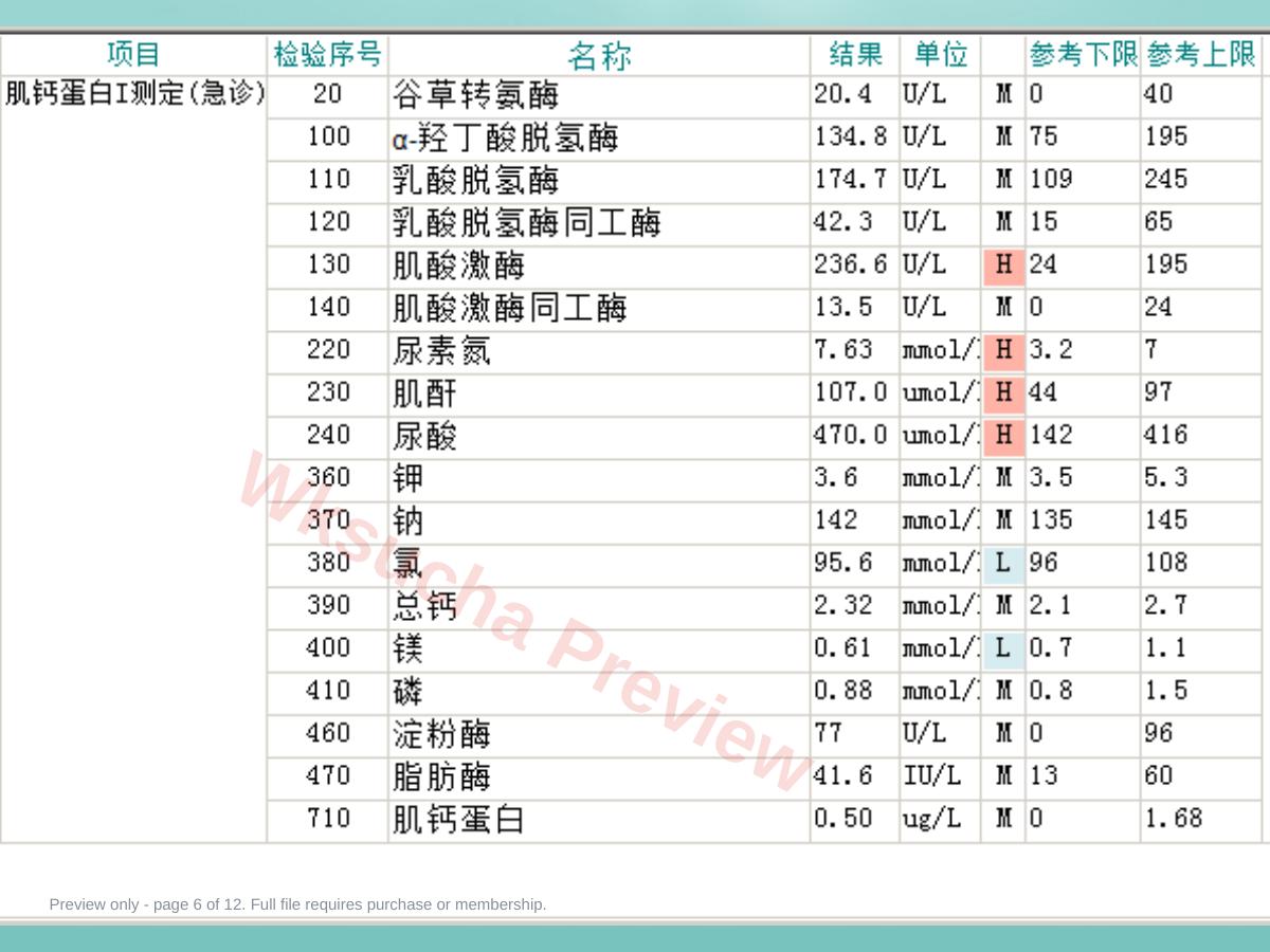 预览第 6 页