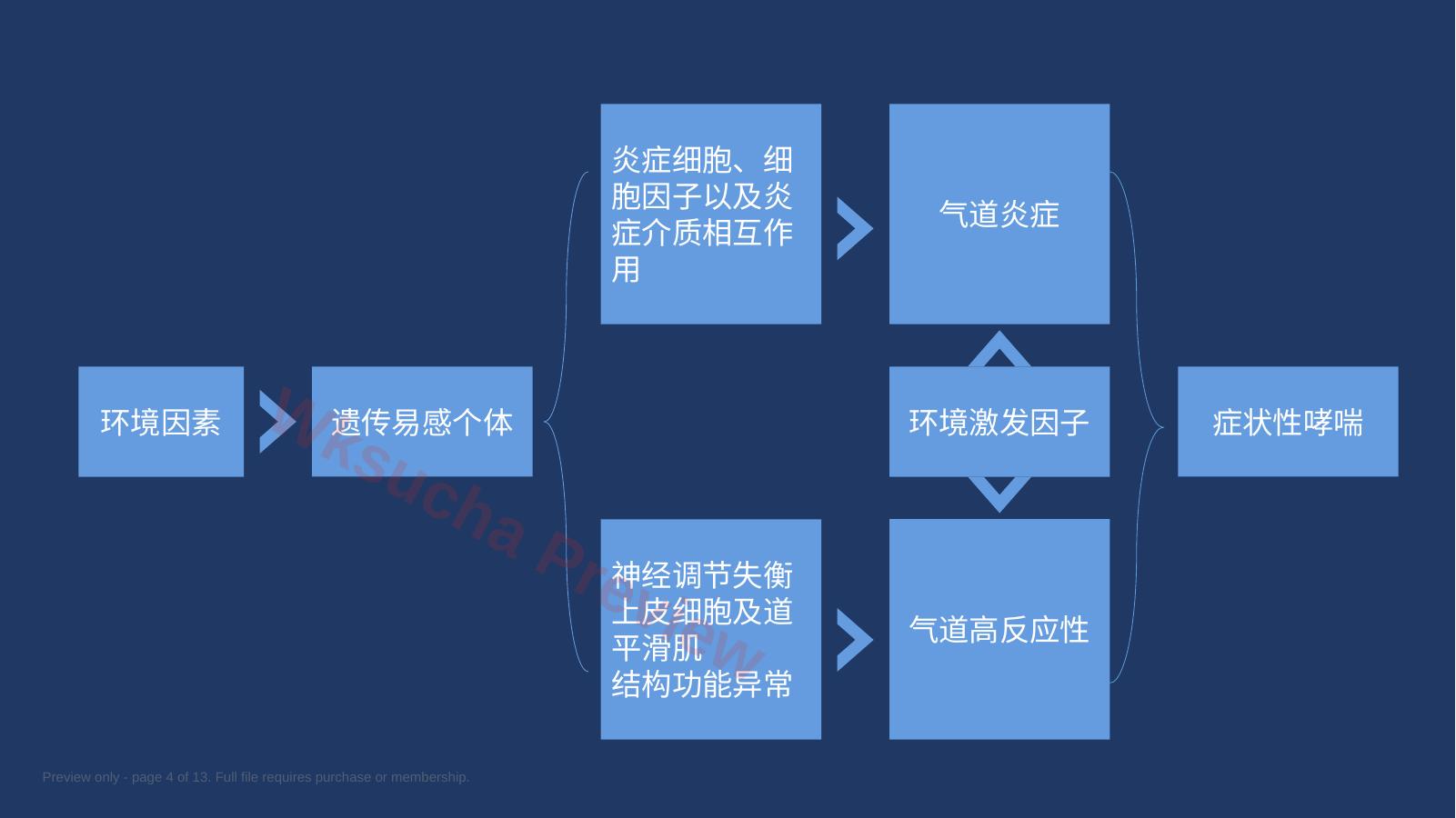 预览第 4 页