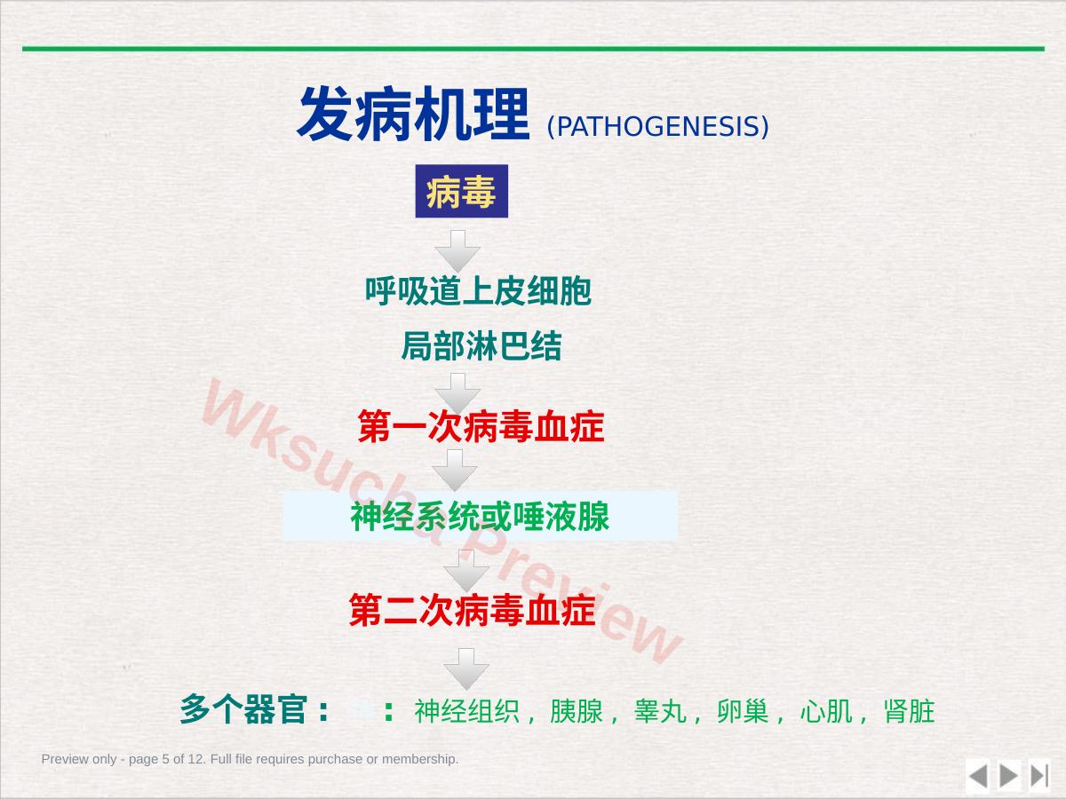 预览第 5 页