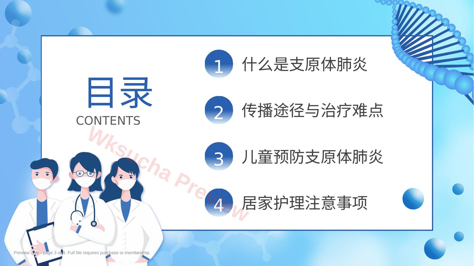 预览第 3 页